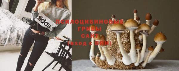 винт Тихорецк