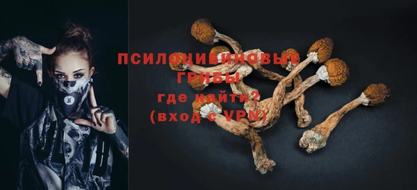 молекула духа Тобольск