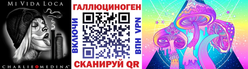 Галлюциногенные грибы Psilocybe  магазин    Болгар 